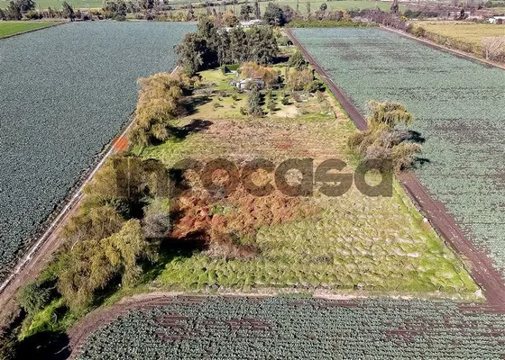 Parcela, T. Agrícola, Sector Lolenco, Curacaví, Melipilla