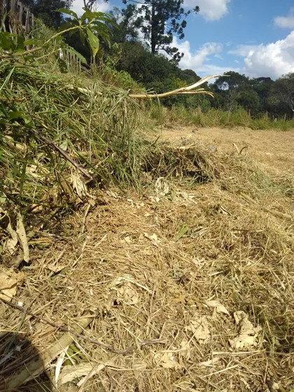 Terreno Plano Num Lugar Sossegado 