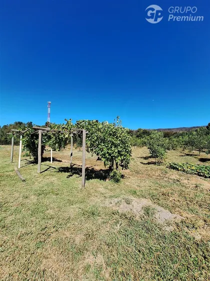 Parcela En Venta En Santa Juana, 8va Region