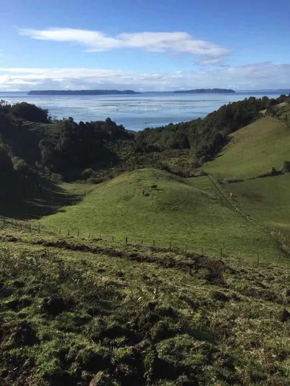 Ubicación Privilegiada A 12 Km De Dalcahue (73814)