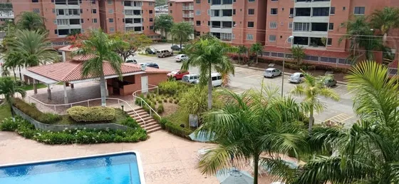 Tza San Pedro 2 Donde Esta La Piscina 