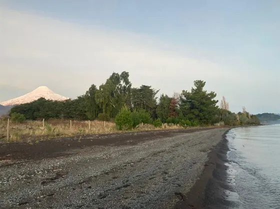 Terreno Construccion En Venta En Puerto Octay