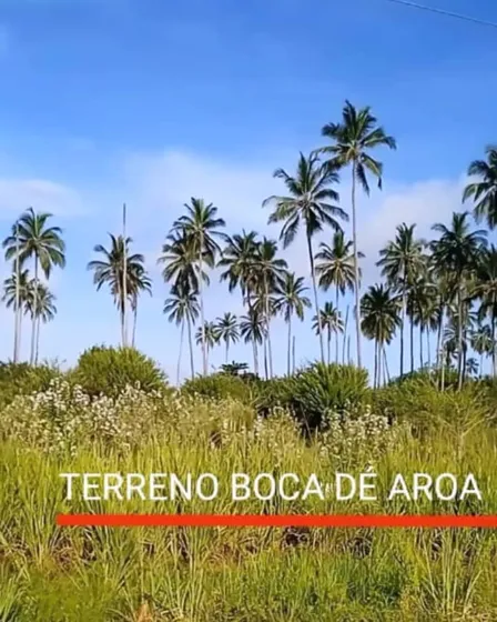 Venta De Terreno Boca De Aroa (aa/dm) 