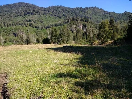 Agrícola En Venta En Lago Ranco