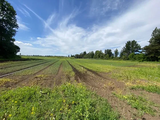 Lindo Campo Plano Con Riego Inversionistas!!