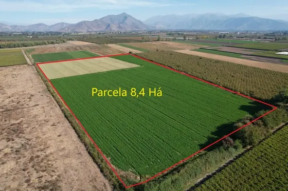Parcela 8,4 Há Para Frutales Cultivos Riego