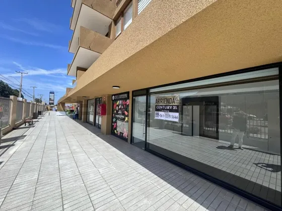 Arriendo Local Comercial De 30 Mt2 En Ulriksen