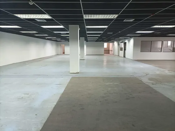 Planta Libre. Santa Elena. Maule. Metro Ñuble (177793)