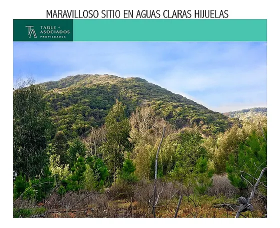 Maravilloso Sitio En Aguas Claras Hijuelas