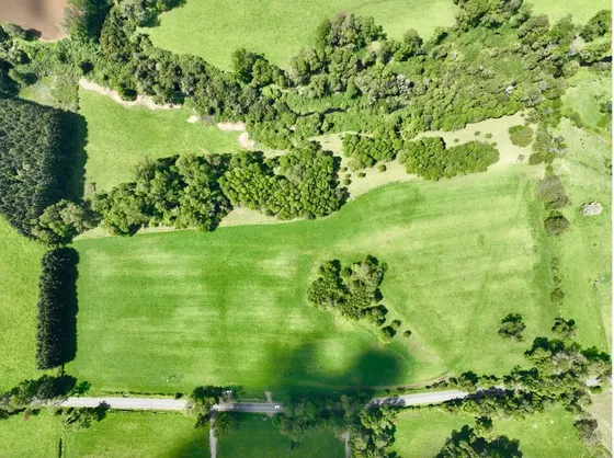 Gran Parcela De 12 Ha A Minutos Del Lago Ranco Orilla De Río