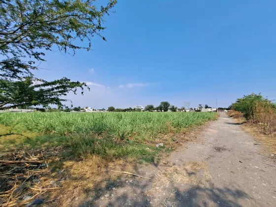 Terreno En Venta En Cocoyoc