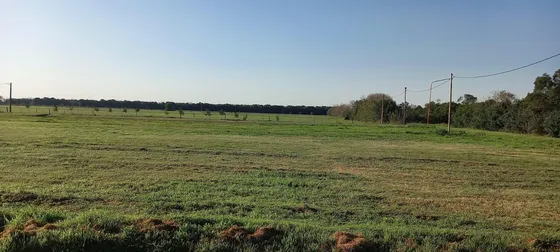 Campo En Pujato Norte