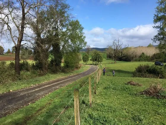 Hermosa Parcela En Rapaco Sector Los Canales La Union