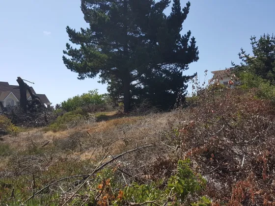 Terreno Excelente Ubicación En Pinares De Montemar