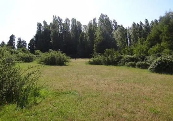 Terreno Construccion En Venta En Cabrero Bulnes Chamavida Yu