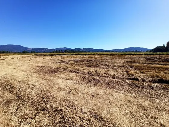 Terreno Agrícola, Propieda 35 Ha En Venta San Javier