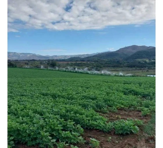 Finca En Venta En Nirgua Estado Yaracuy Ag-7091173