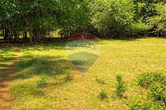 Parcela De Agrado - Venta - Ñancul, Villarrica