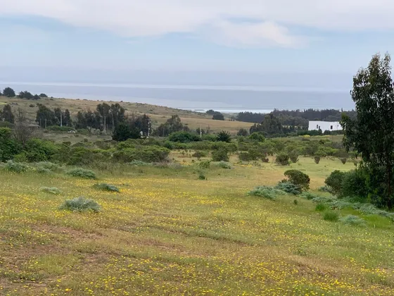 Lindos Terrenos A 3,2 Km. Rotonda De Concón