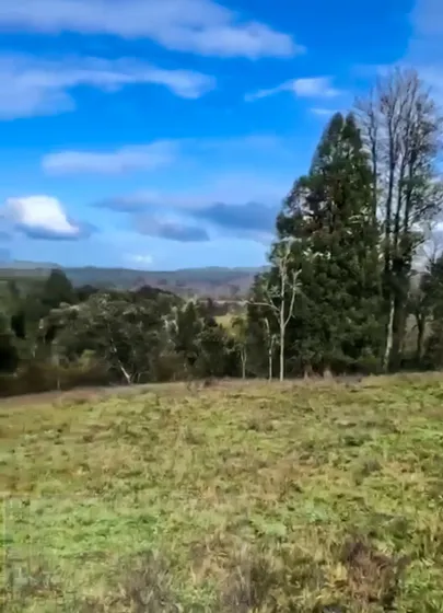 Parécela De 5.000m2 - Osorno