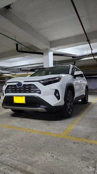 Toyota Rav4 2.5 Limited Hev 4x4 Cvt