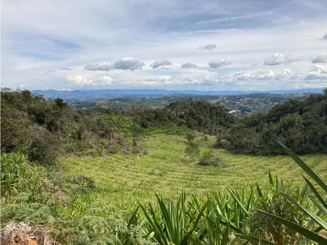 Finca En Venta San Vicente Ferrer 17.5 Hectareas Sector La Magdalena.