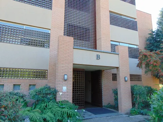 Arriendo Departamento En Brisas De Santo Domingo Df12b104