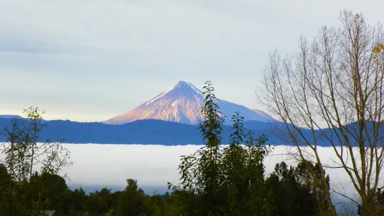 Cabaña En 5000 Mt2 Con Vista A V. Osorno Y Vertiente