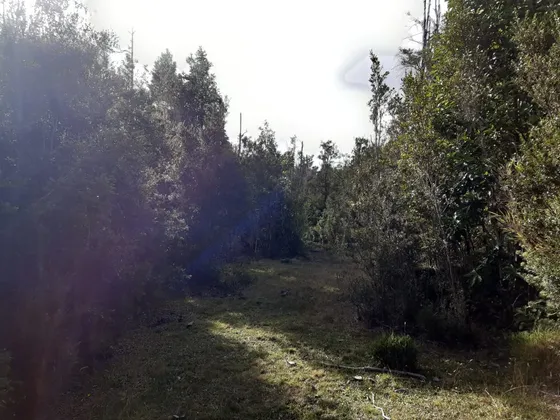 Campo Subdividido En 79 Lotes