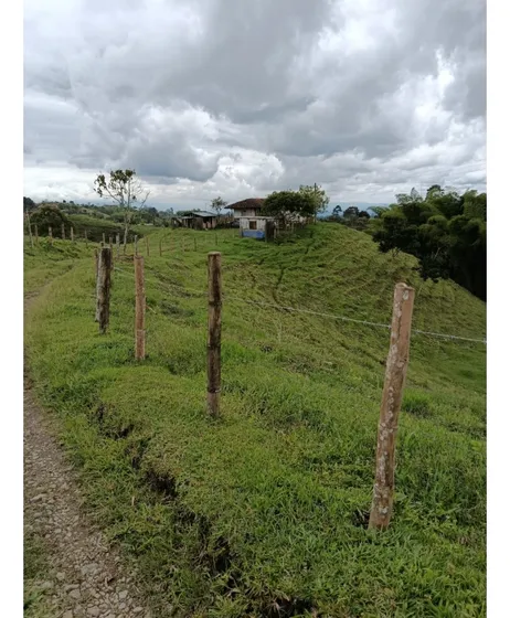 Venta Finca Filandia A Borde De Carretera - 20 Cuadras
