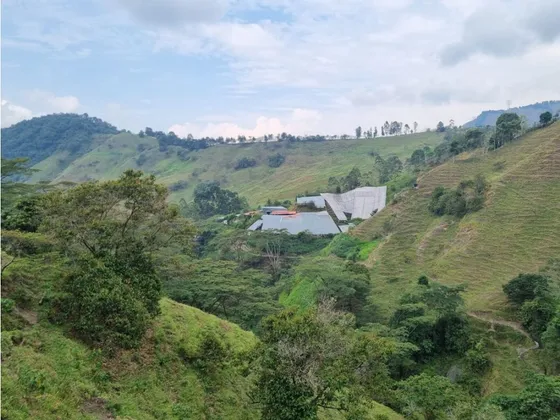 Se Vende O Permuta Finca En Heliconia Antioquia