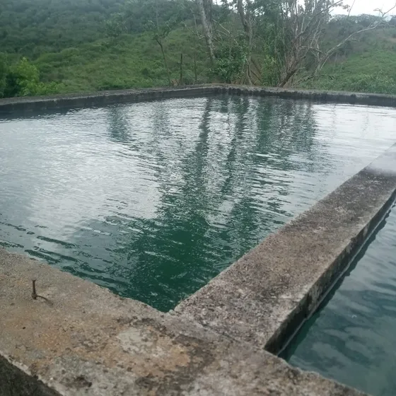 Emili Ofrece En Venta Finca 300 Hectáreas Nirgua 