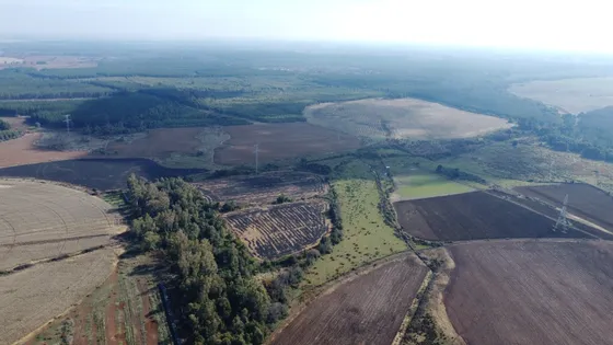 Venta De Campo Agrícola En Pemuco Id 60.022-cam