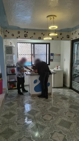 Veterinaria En Traspaso 3 Pisos