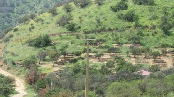 Se Vende Hermosa Parcela, Curacaví, Con Una Gran Vista Cví