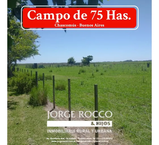Campo En Venta En Chascomús. 75 Has Mixto Permuta!!!