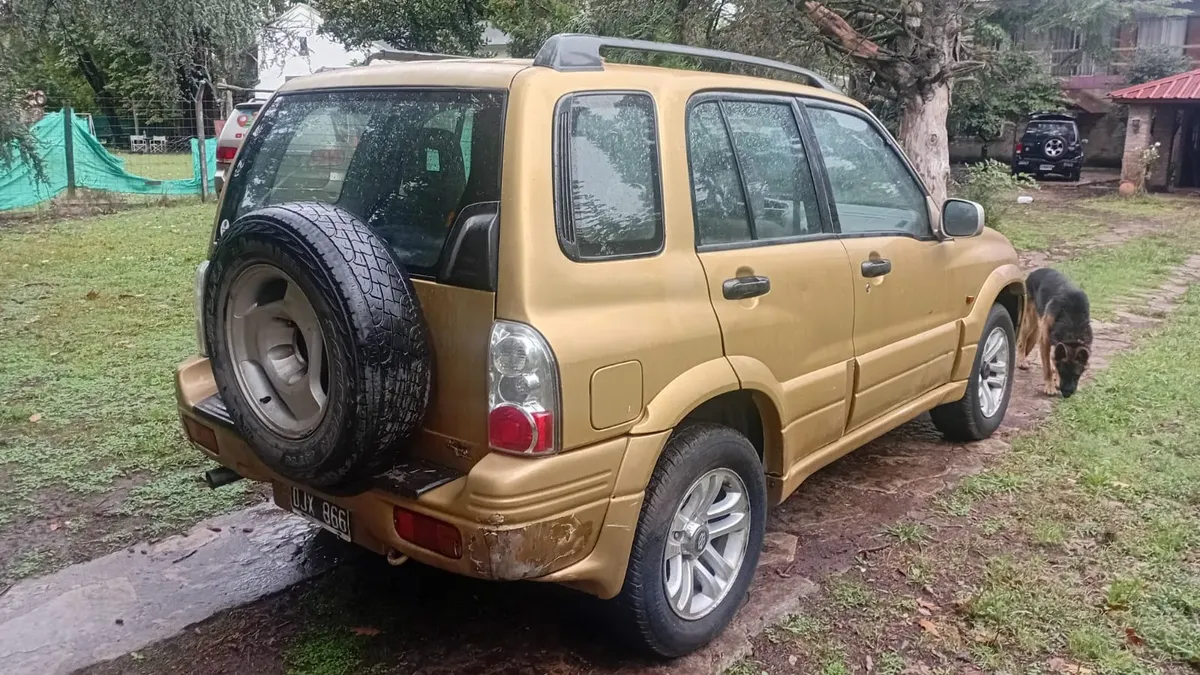 Miniatura 10
