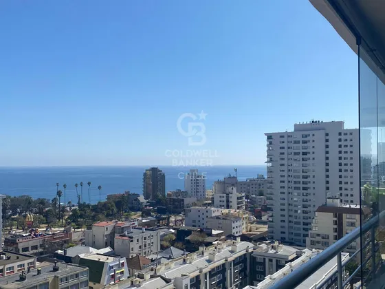 Gran Departamento Con Vista Poniente, Amoblado
