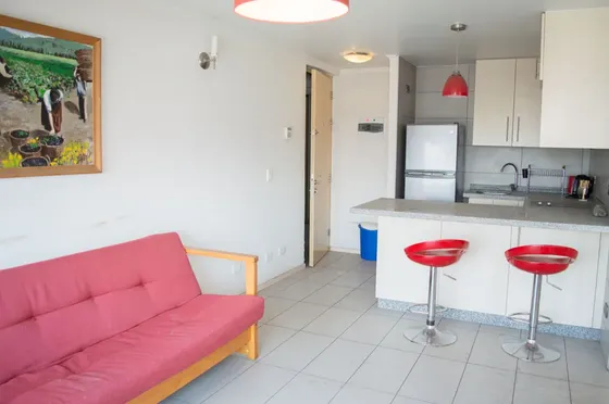 Arriendo Departamento Amoblado Santa Maria- Baquedano (2000)