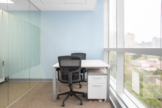 Membresías De Renta De Oficinas Flexibles En Regus Masaryk 112