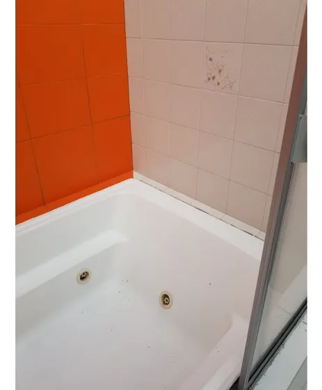 Alquiler De Casa Comercial En Palermo