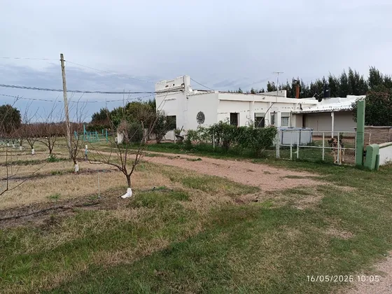 Vendo Muy Linda Quinta De Frutales, 4 Casas, Galpones, Cámara De Frío, Riego En Todo El Campo, Muy Lindo Lugar Para Vivir Permanente