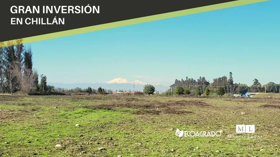 Se Vende Terreno En Chillán Para Inversión (88194)