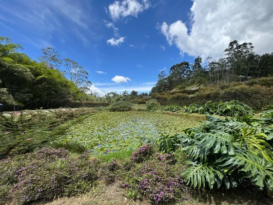 Lote Exclusivo En Parcelacion! Hermosas Areas Comunes Con Lago Interno! Excelente Precio!