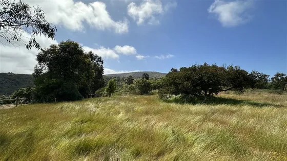 Sitio En Venta Olivo Santo, Santa Bertina