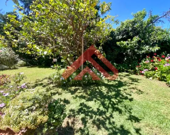 Arriendo Gran Propiedad Viña Del Mar