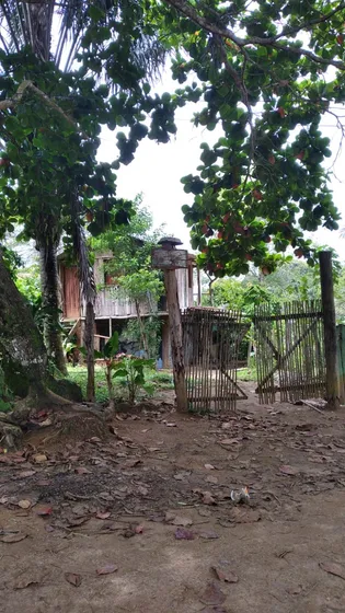 Casa Na Roça