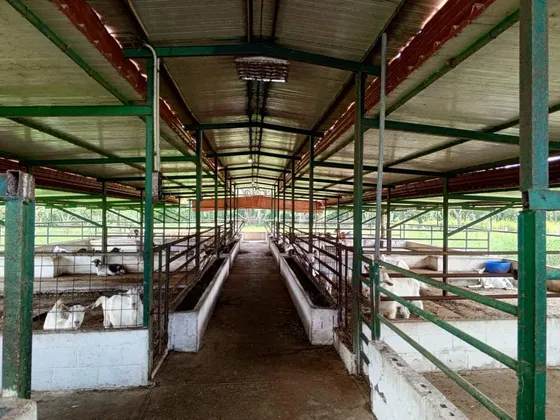 Venta Finca En Yaracuy D11-45