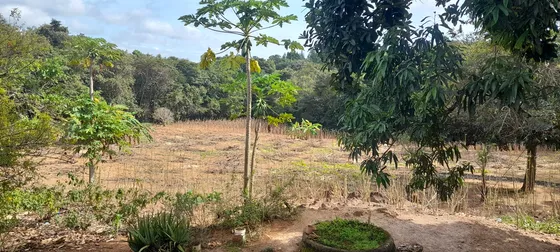 Chácara A Venda