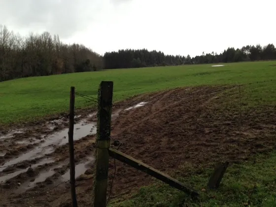 Lindo Campo En Purranque, Totalmente Plano